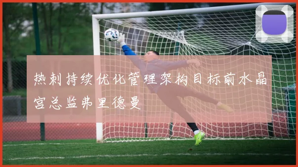 热刺持续优化管理架构目标前水晶宫总监弗里德曼