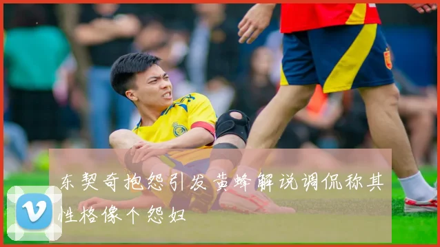 东契奇抱怨引发黄蜂解说调侃称其性格像个怨妇