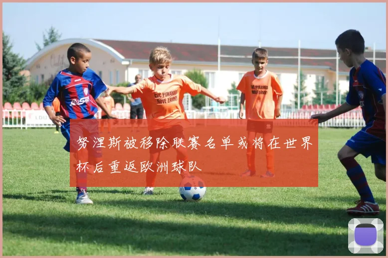 努涅斯被移除联赛名单或将在世界杯后重返欧洲球队